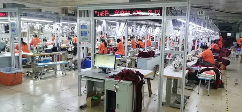 客服火線入職備戰(zhàn)天貓雙11，流水線24小時趕工，不夜廠點亮江蘇咨詢策劃服務